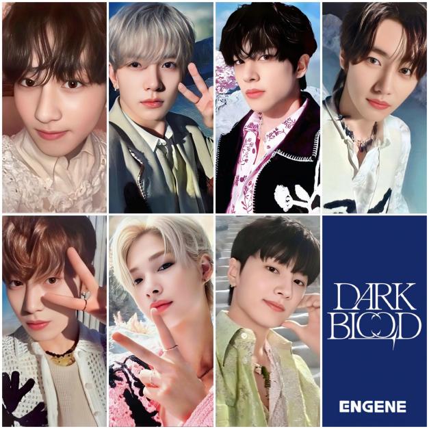 ENHYPEN - Dark Blood - Sacrifice Broadcast Photocards | Stay DeLulu!