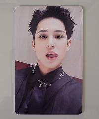 Seventeen Mingyu - The Best EV Album Photocard | Stay DeLulu!