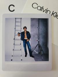 17's Mingyu x CK Polaroid Photocards 