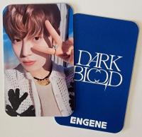 ENHYPEN - Dark Blood - Sacrifice Broadcast Photocards