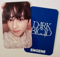 ENHYPEN - Dark Blood - Sacrifice Broadcast Photocards