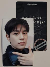STRAY KIDS dominATE Japan Shizuoka Stadium Ecopa Popup POB Photocards