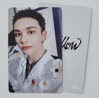 STRAY KIDS : Hollow -Tower Records Photocards