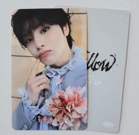 STRAY KIDS : Hollow -Tower Records Photocards
