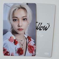 STRAY KIDS : Hollow -Tower Records Photocards