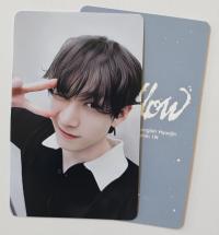 STRAY KIDS Hollow dominATE Japan 17-05 Photocards