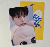 Stray Kids : Dominate Celebrate Pop Up Photocards