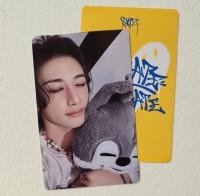 Stray Kids : Dominate Celebrate Pop Up Photocards