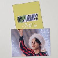 Stray Kids - Oddinary Tower Records Mini Photo Cards