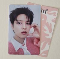 Stray Kids : Do It - It Version Photocards