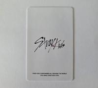 Stray Kids : Han - MBC Gayo Daejeon Sanok Photo Card