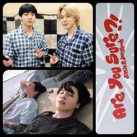 BTS - Are You Sure -  Photocards 