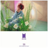 Yoongi : Armypedia Postcard  Collection