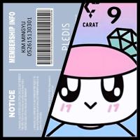 Seventeen - CARAT Membership Cards