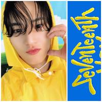 17 - Seventeenth Heaven Carat Version - Mingyu Photocards