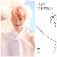 BTS LY HER O Photocards