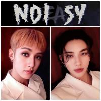 Stray Kids No Easy SUBK Japan Photocards 