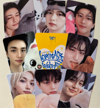 Stray Kids : Dominate Celebrate Pop Up Photocards
