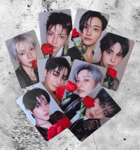 ATEEZ : Golden Hour 5  Apple Music Digipack War of Roses Photocards
