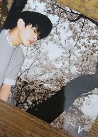 BTS HYYH In the Mood For Love Taiwan Postcards
