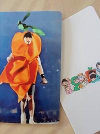 BTS - 4th Muster DVD photocards