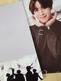 BTS - Fake Love Broadcast Photocards