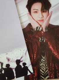 BTS - Fake Love Broadcast Photocards