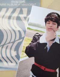 MAXIDENT リノ B&N Stray Kids Maxident Barnes & Noble POB photocards | Stay DeLulu!