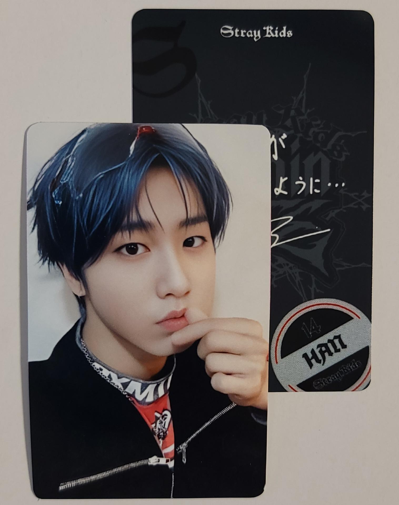 STRAY KIDS dominATE Japan Shizuoka Stadium Ecopa Popup POB Photocards