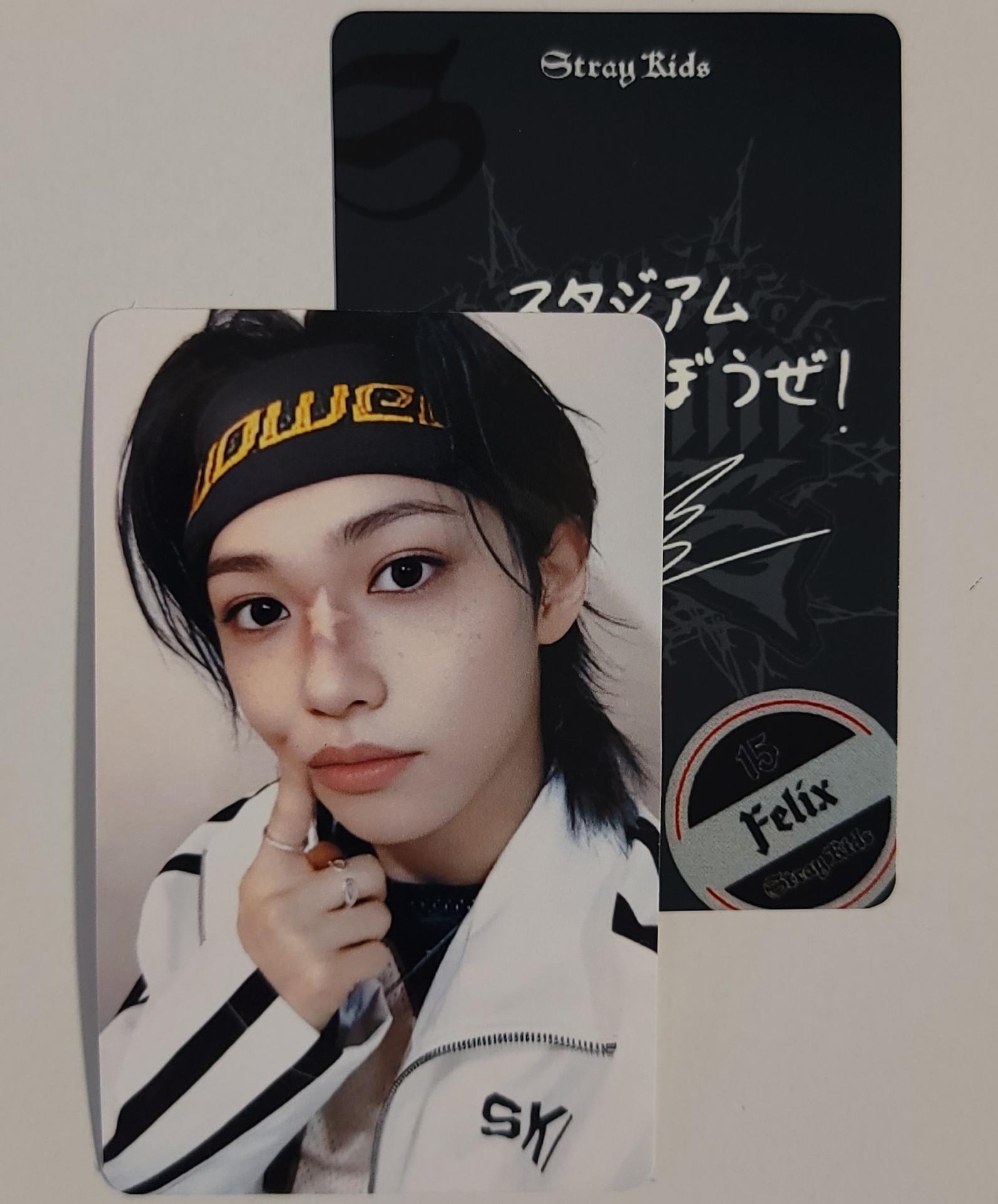 STRAY KIDS dominATE Japan Shizuoka Stadium Ecopa Popup POB Photocards