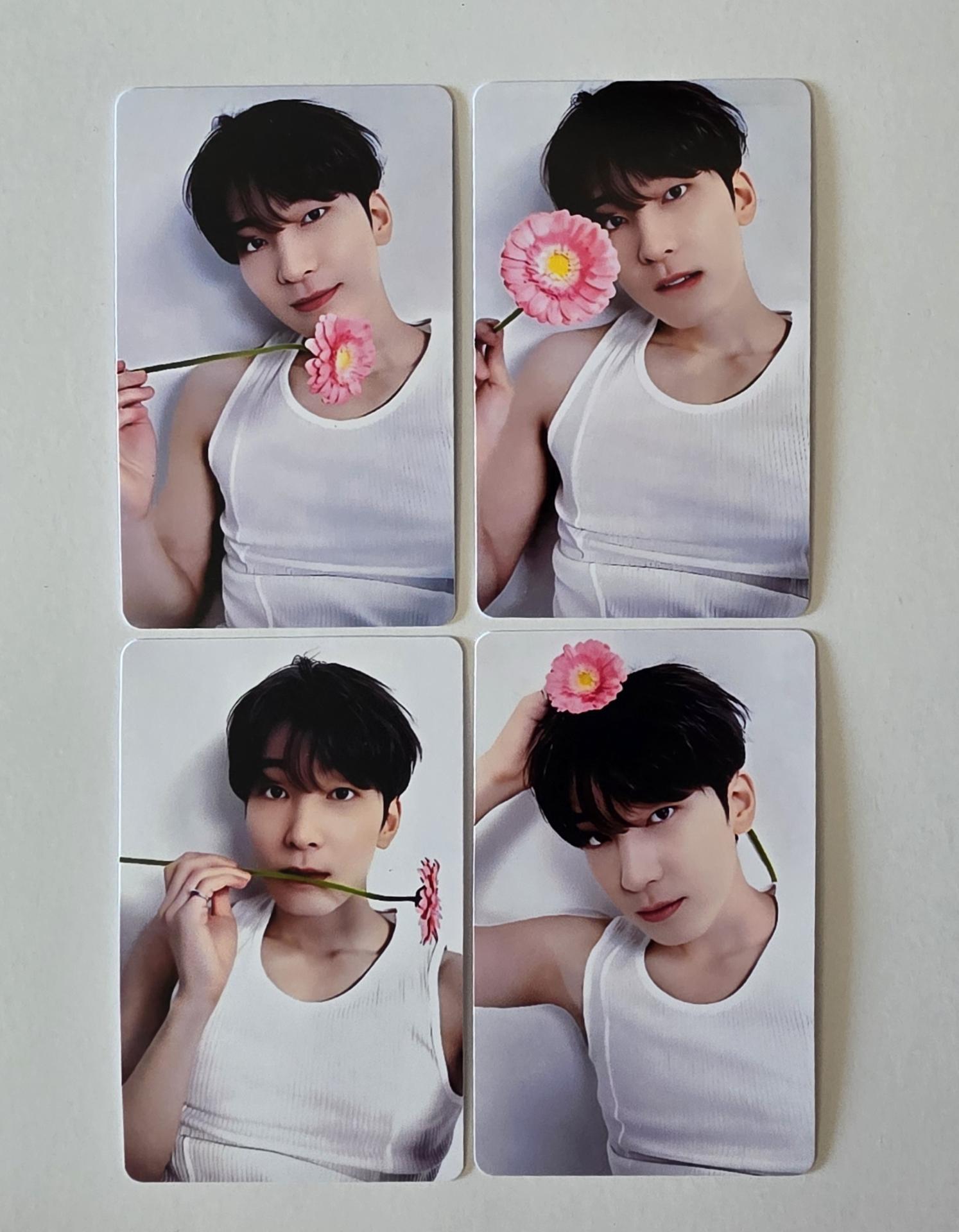 Seventeen : Wonwoo - 17 is Right Here Dear Ver Photocards 