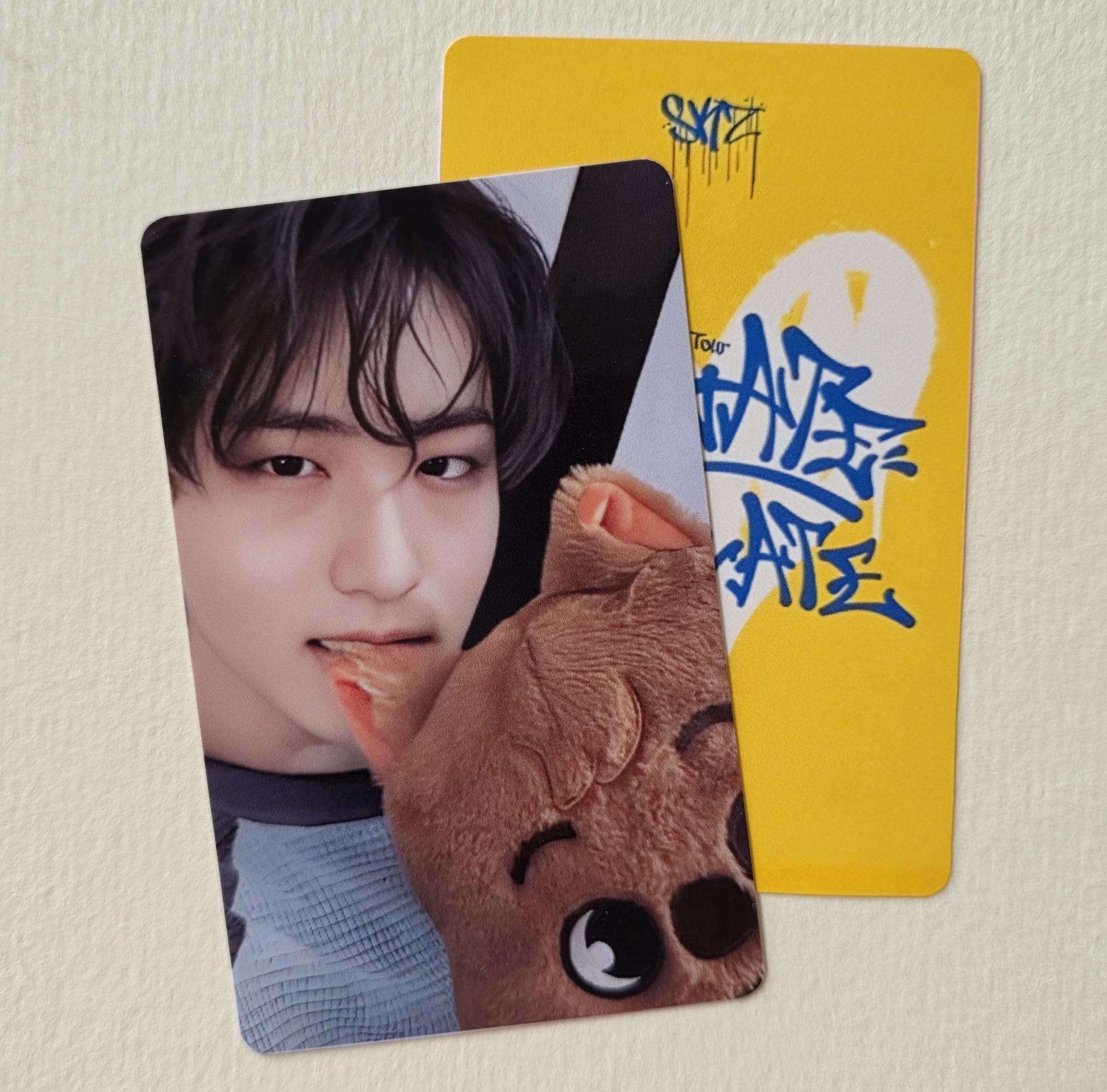 Stray Kids : Dominate Celebrate Pop Up Photocards