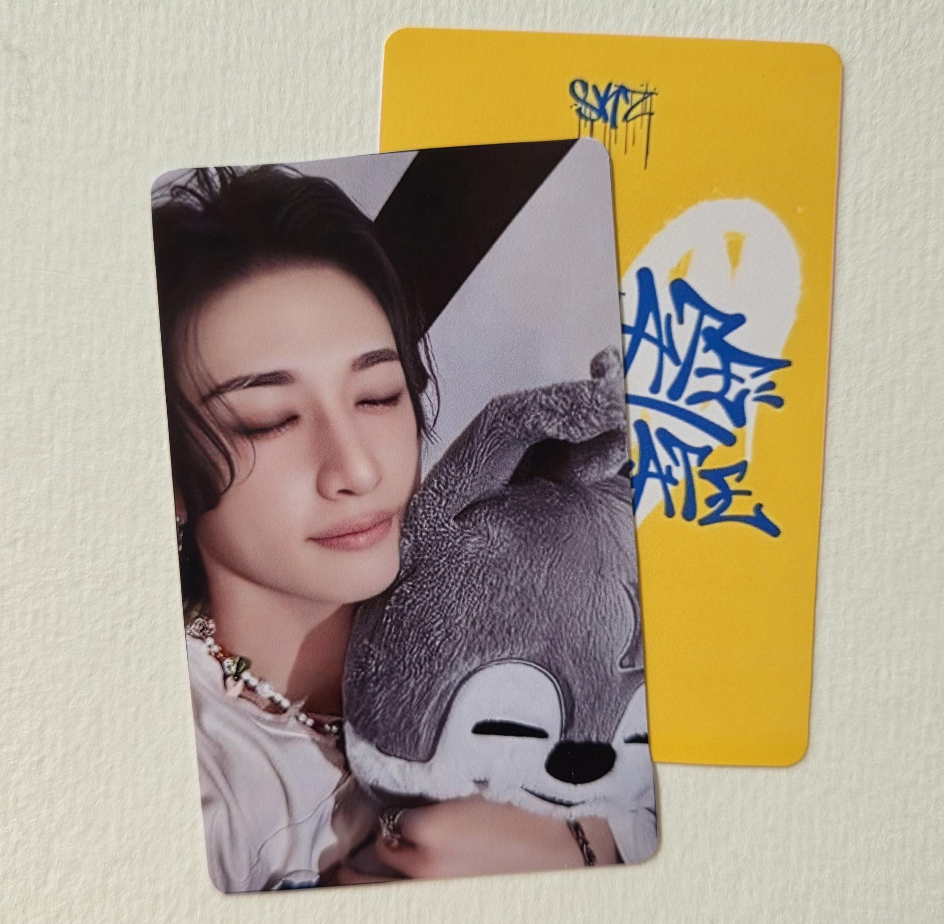 Stray Kids : Dominate Celebrate Pop Up Photocards