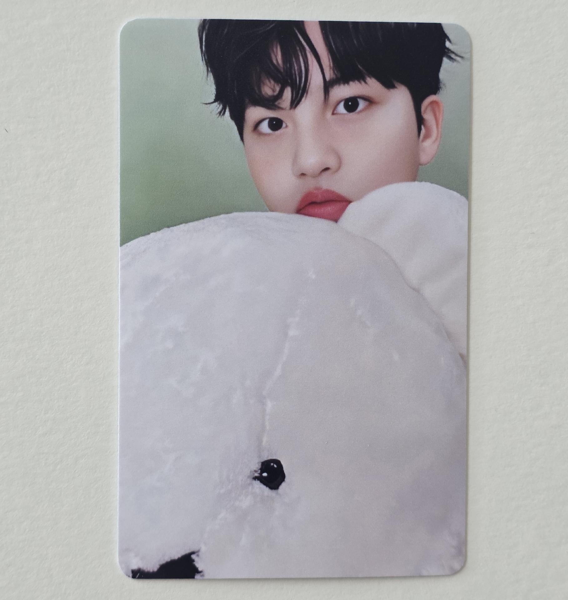 ATEEZ : Seasons Greetings 2026 : Pastry Shop Set B Photocards