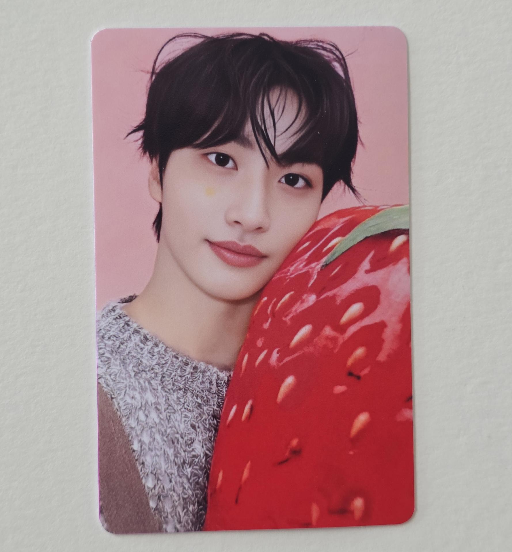 ATEEZ : Seasons Greetings 2026 : Pastry Shop Set B Photocards