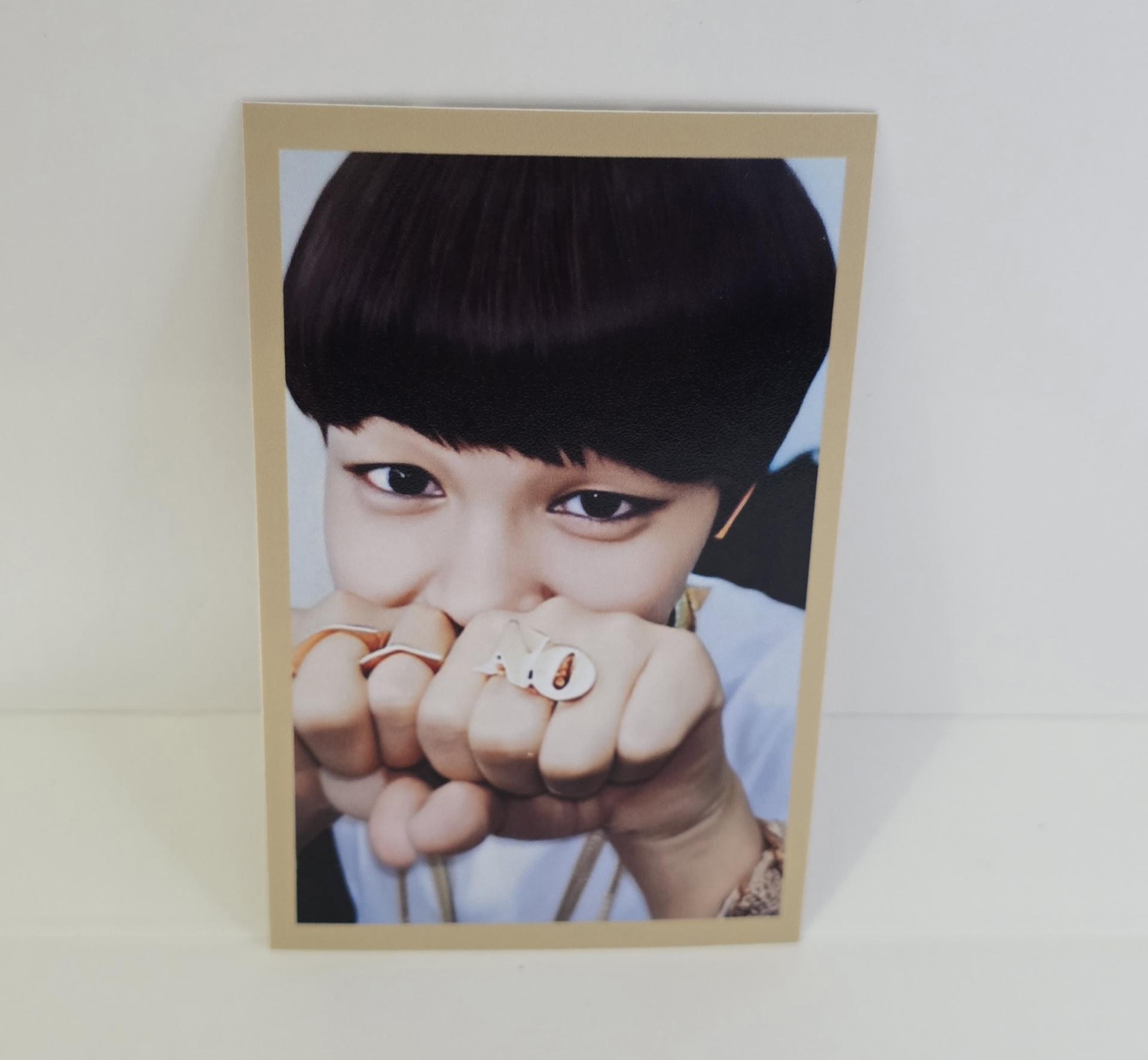 BTS Seasons Greetings 2014 1st Fan club Diary Photocards  Jimin