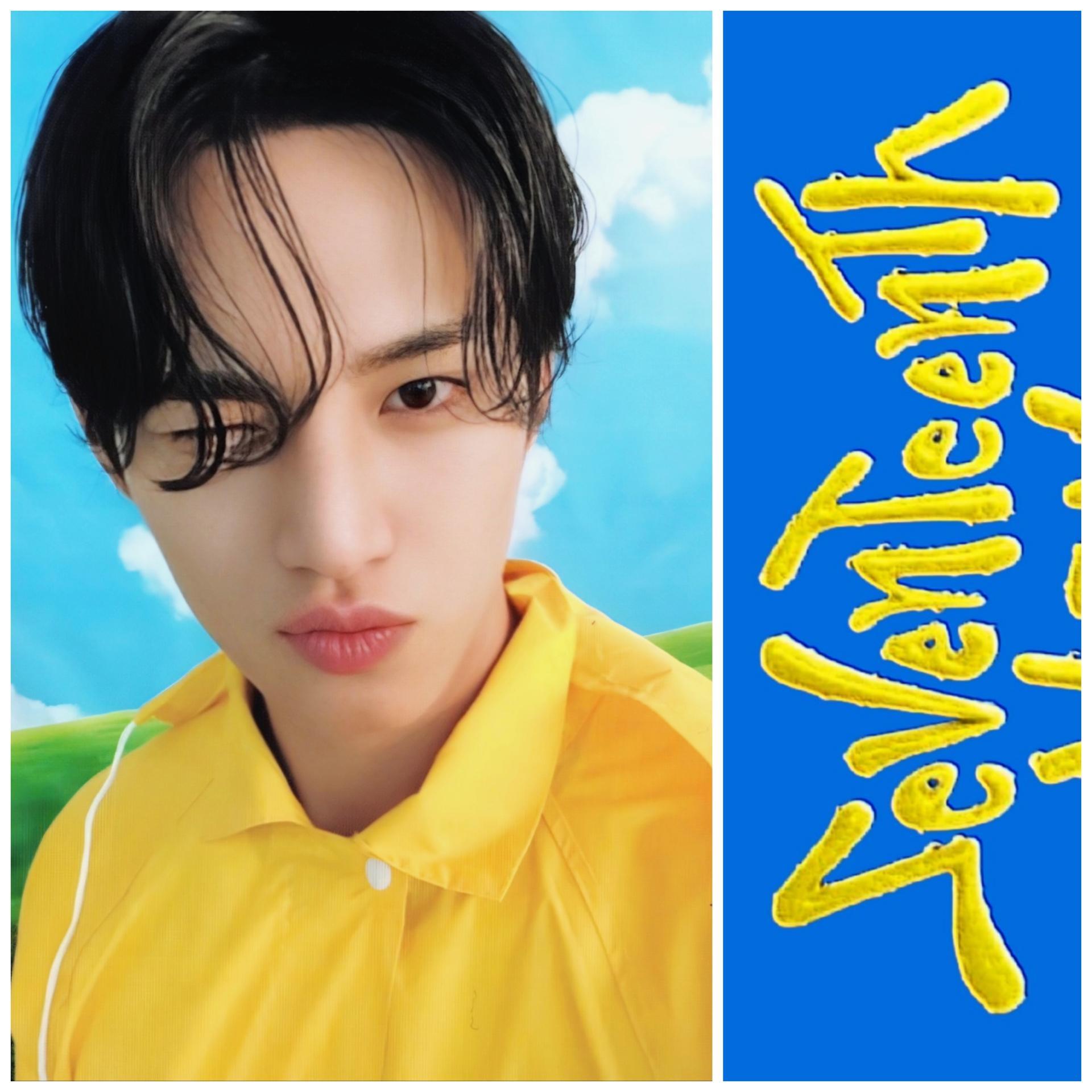 17 - Seventeenth Heaven Carat Version- Mingyu Photocards | Stay