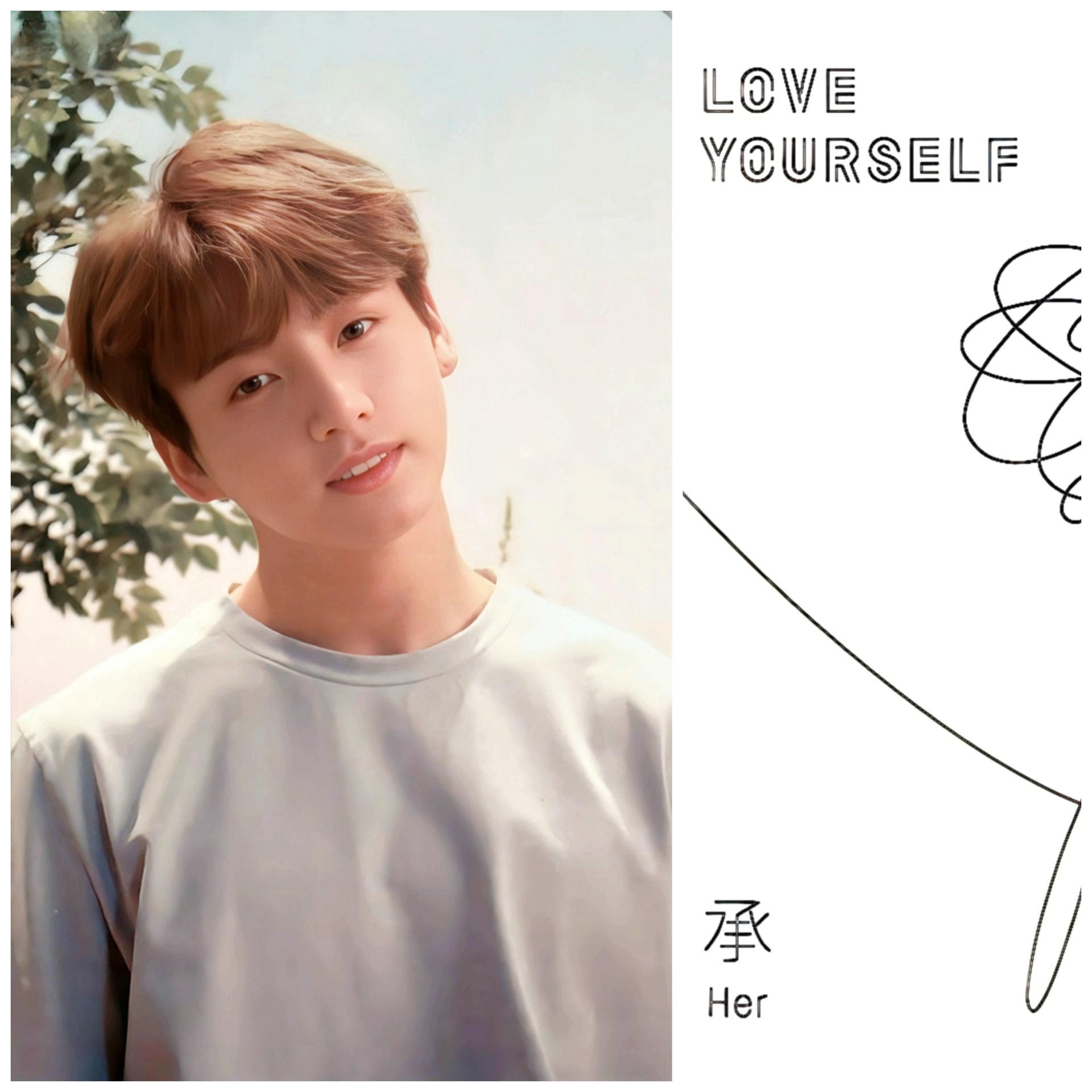 BTS LY HER O Photocards