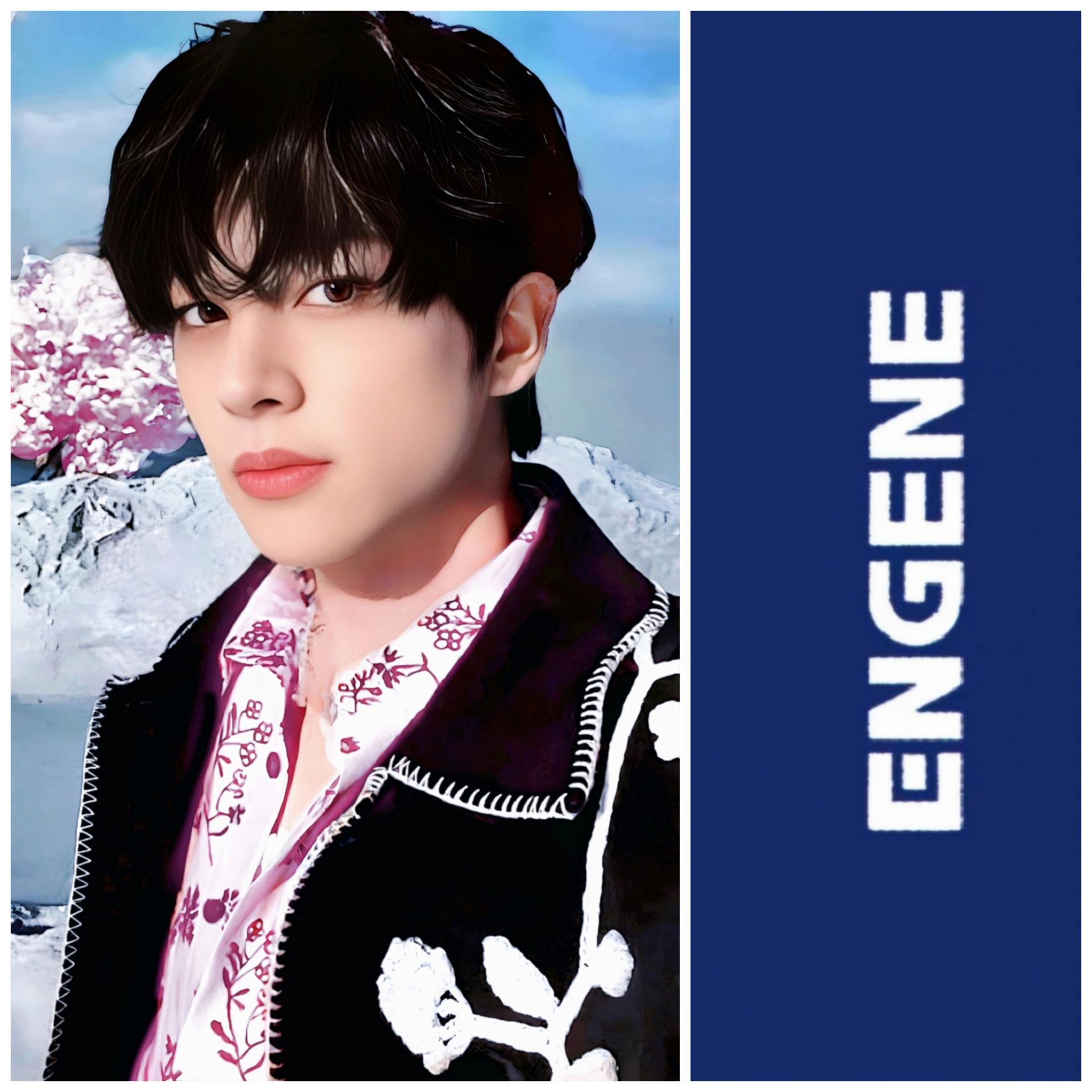 ENHYPEN - Dark Blood - Sacrifice Broadcast Photocards | Stay DeLulu!