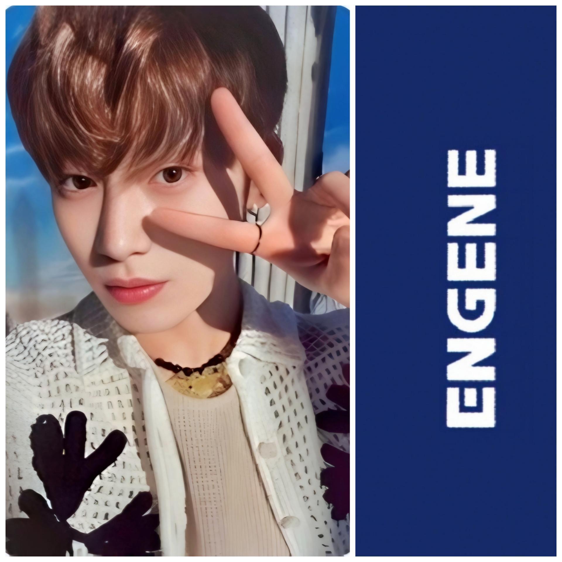 ENHYPEN - Dark Blood - Sacrifice Broadcast Photocards | Stay DeLulu!