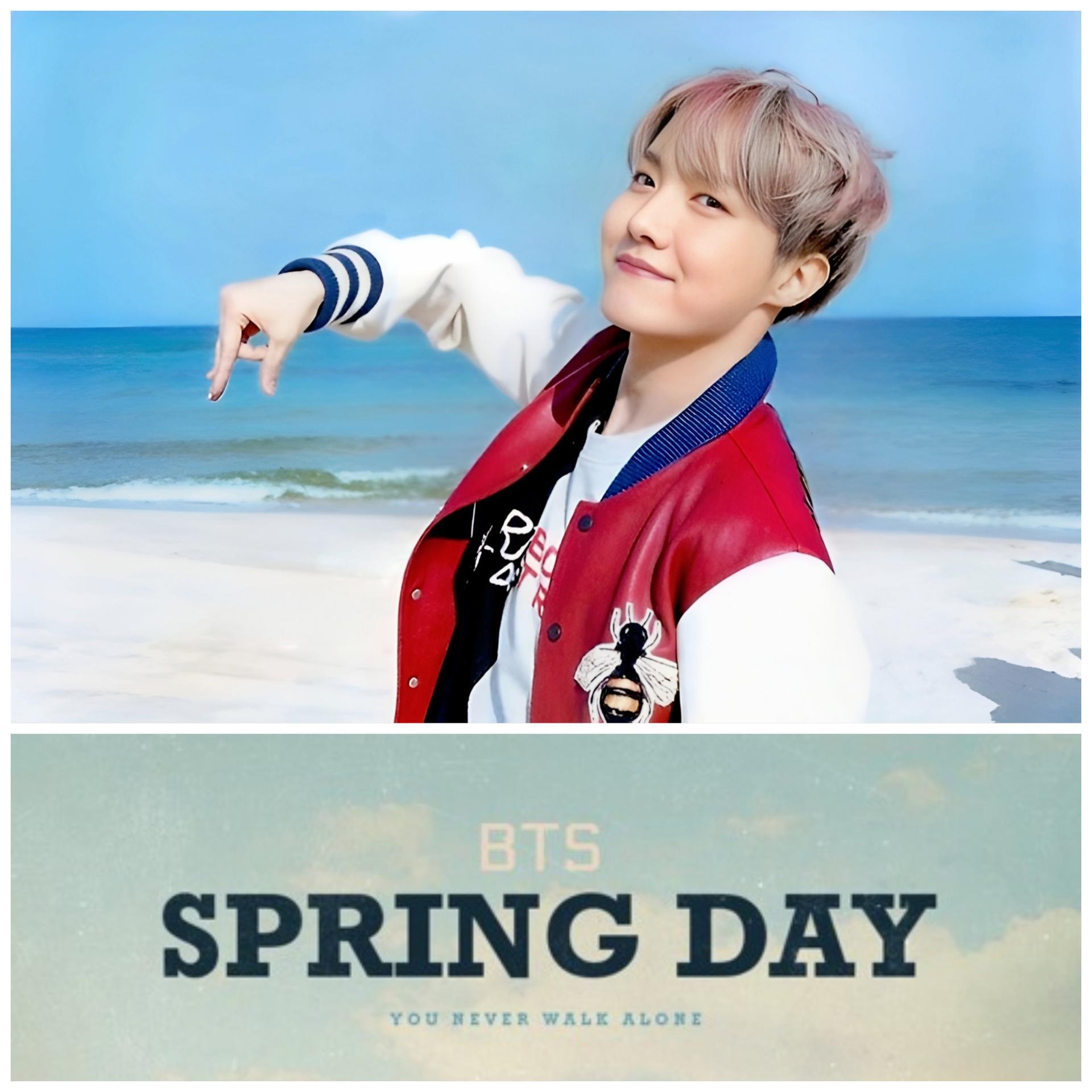 BTS Spring Day Broadcast Photocards | Stay DeLulu!