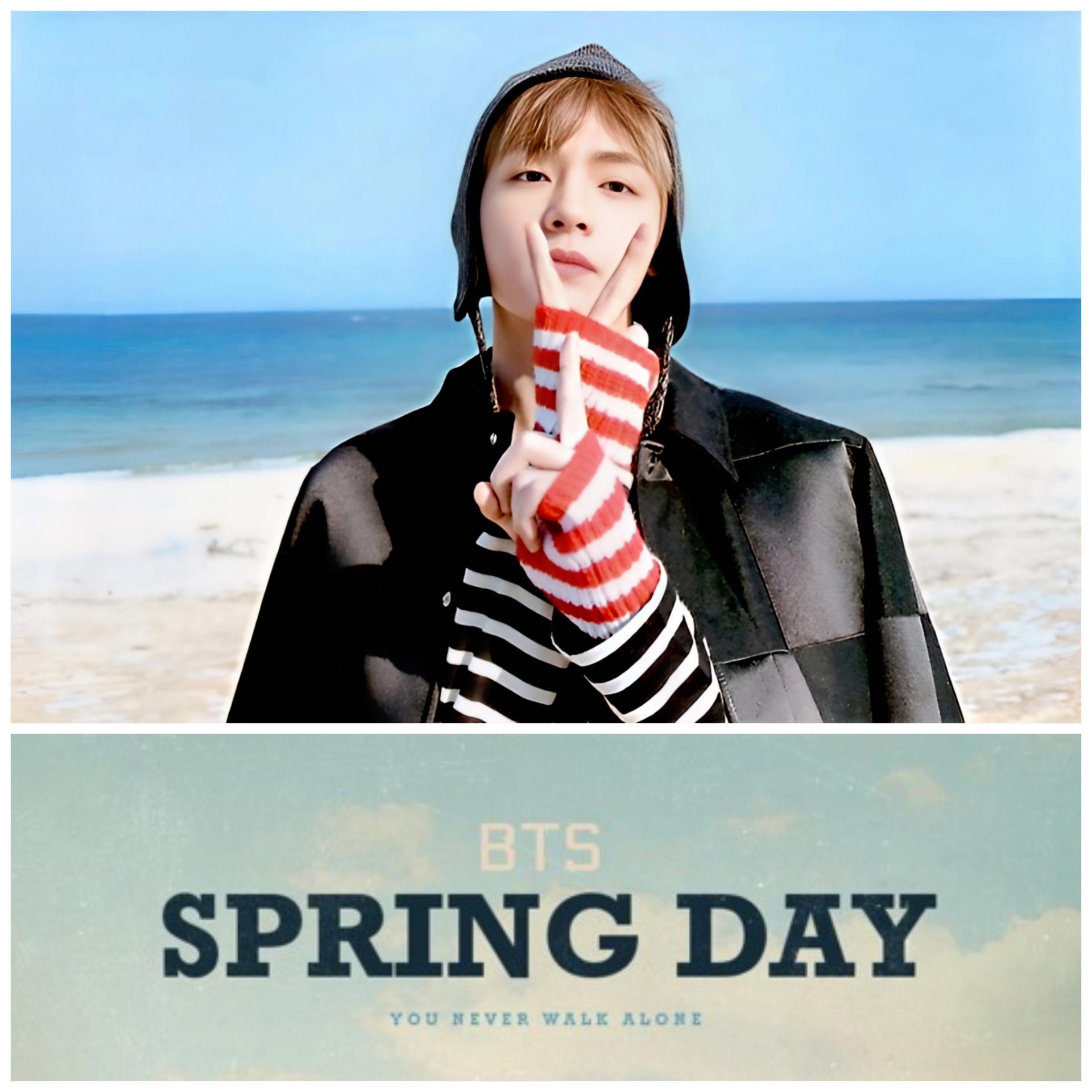 BTS Spring Day Broadcast Photocards | Stay DeLulu!