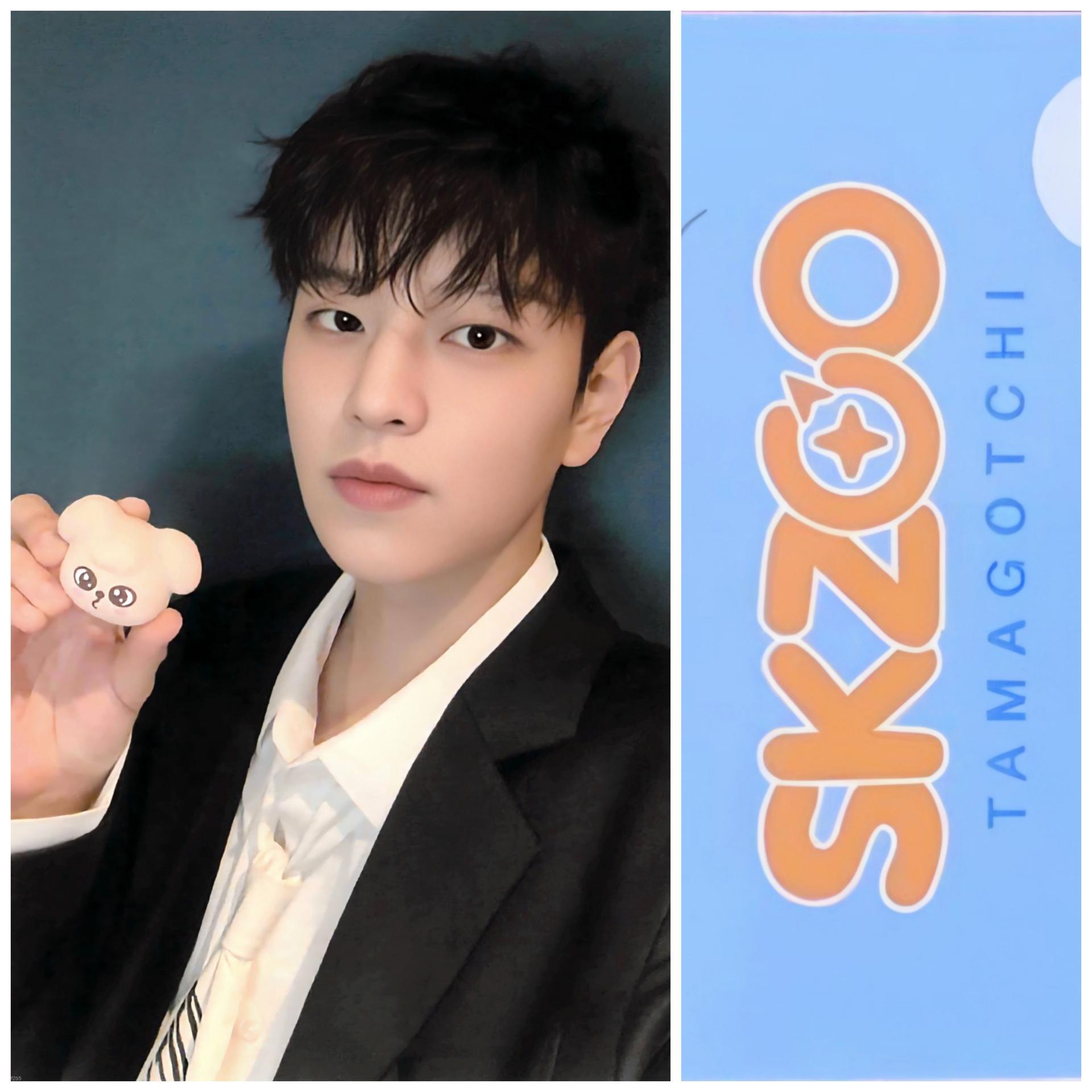 SKZ Skzoo x Tamagotchie Photocards