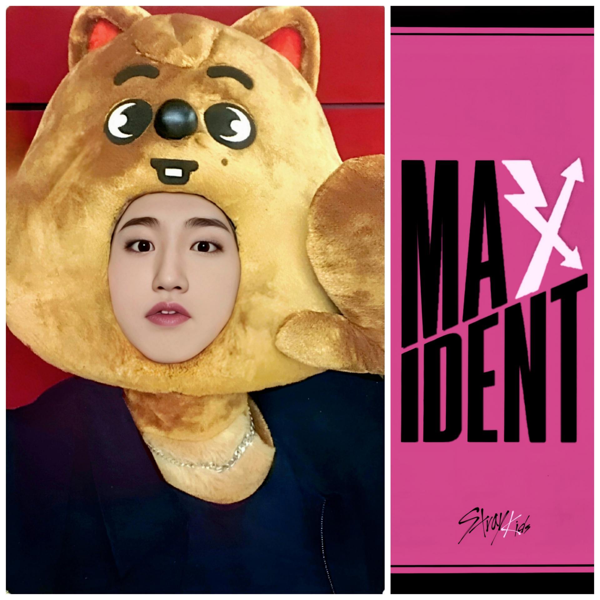 SKZ Maxident JYP Shop POB Photocards