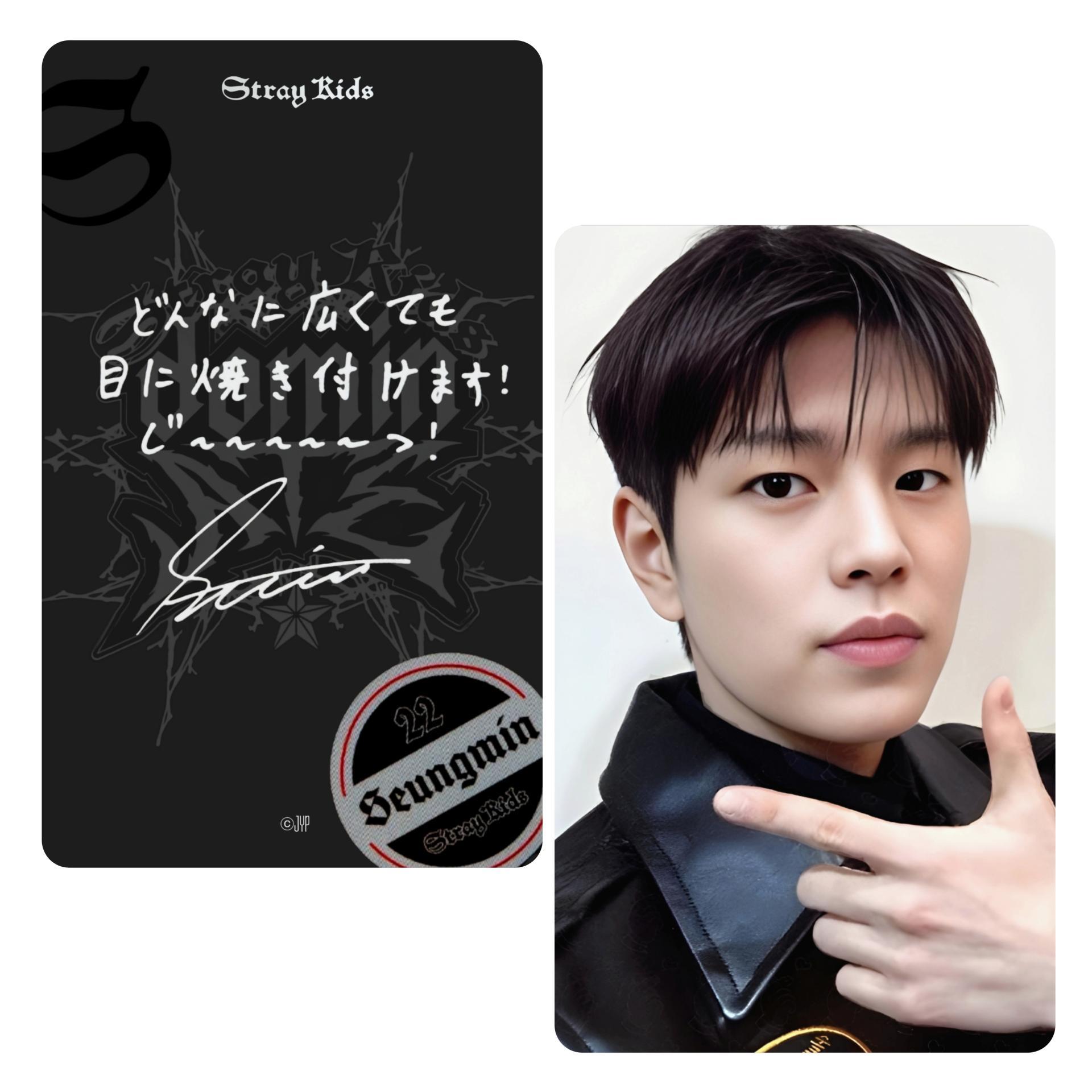 STRAY KIDS dominATE Japan Shizuoka Stadium Ecopa Popup POB