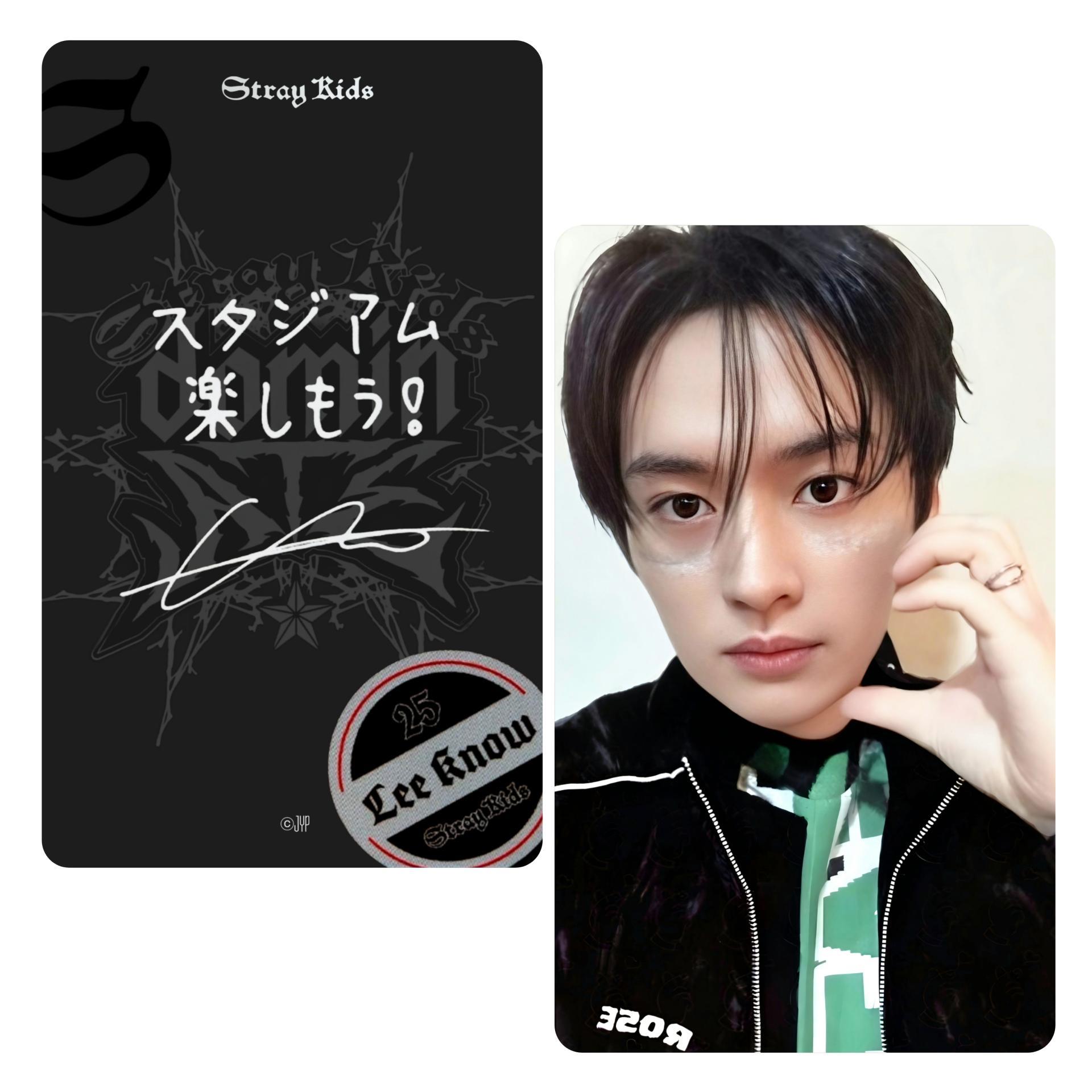 STRAY KIDS dominATE Japan Shizuoka Stadium Ecopa Popup POB Photocards