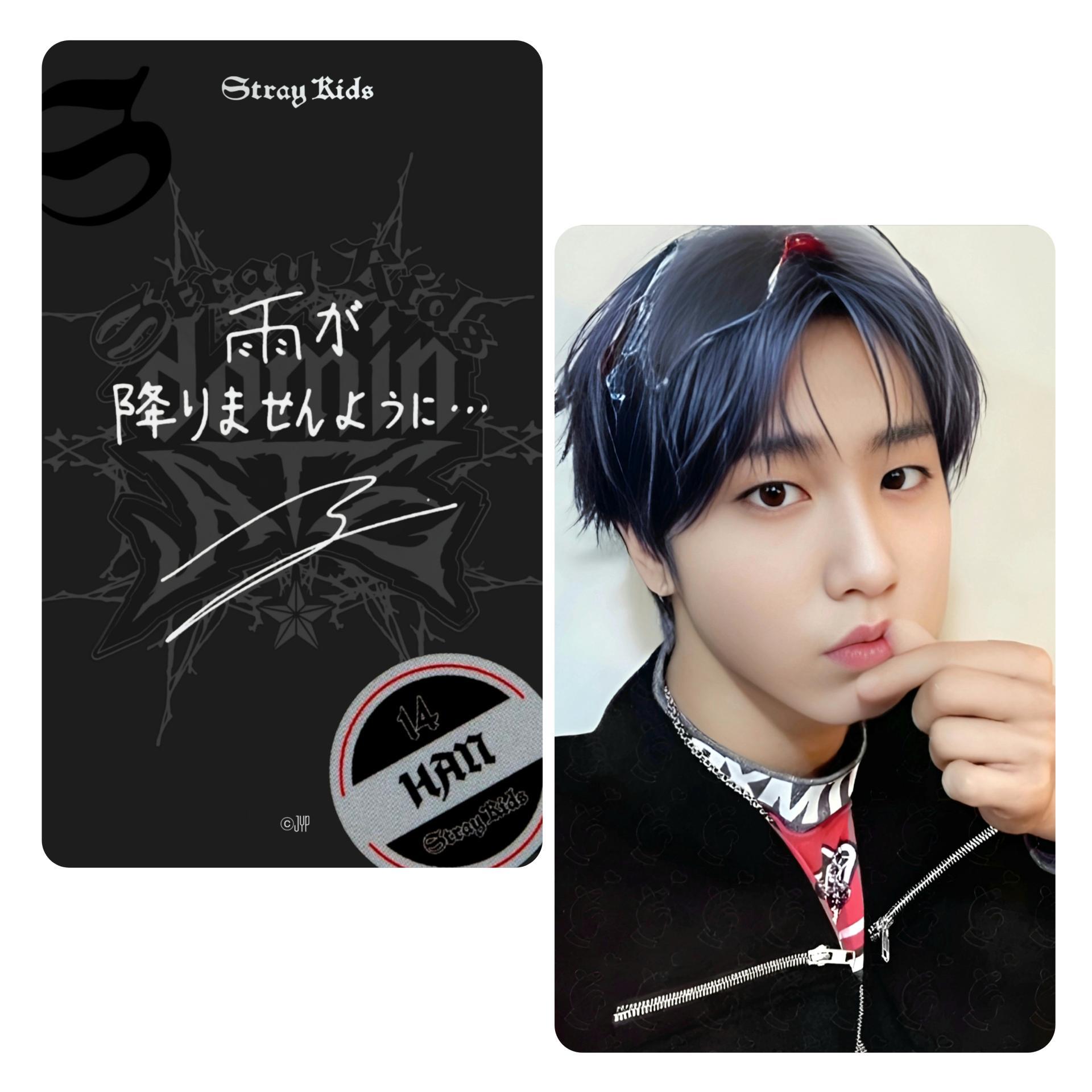 STRAY KIDS dominATE Japan Shizuoka Stadium Ecopa Popup POB Photocards