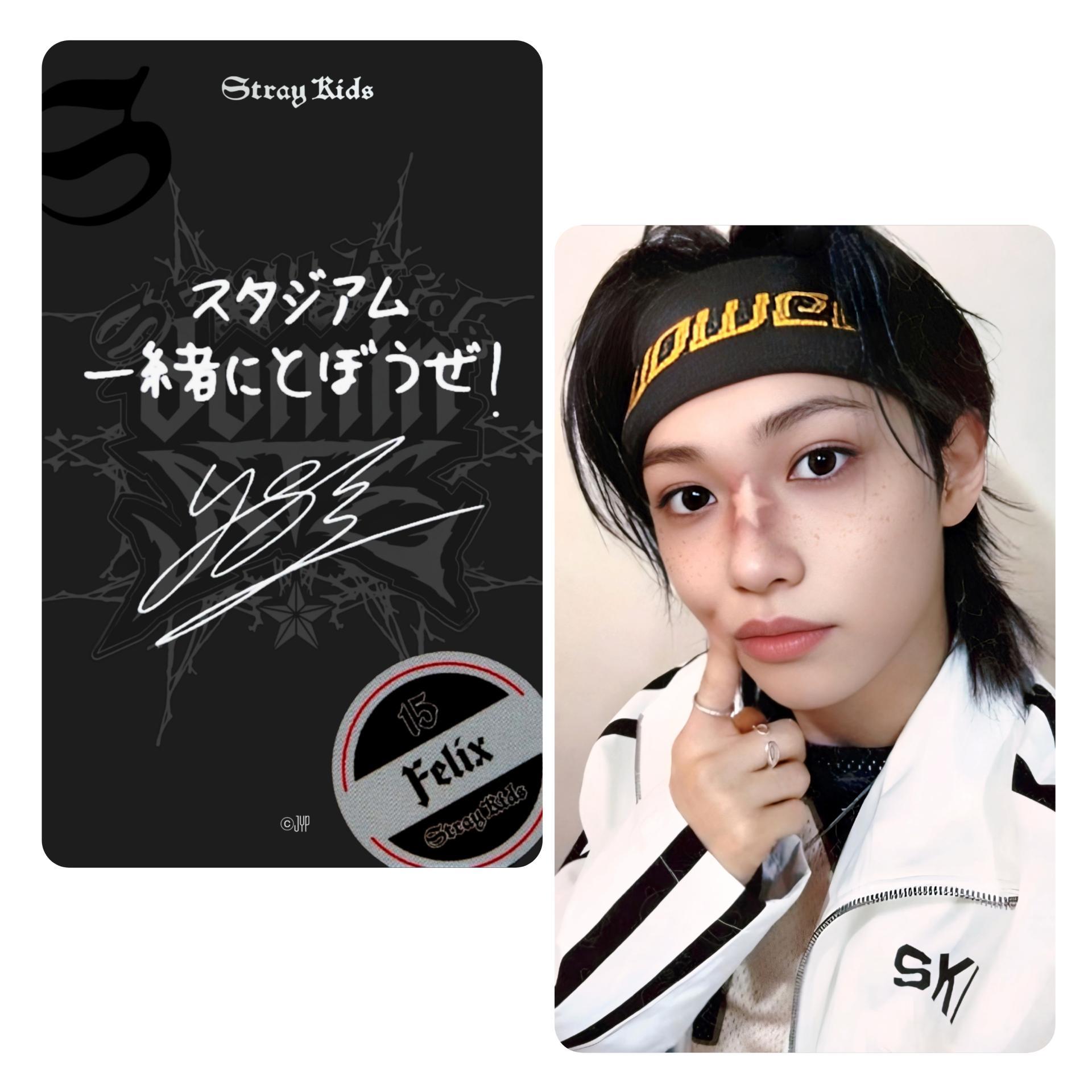 STRAY KIDS dominATE Japan Shizuoka Stadium Ecopa Popup POB Photocards