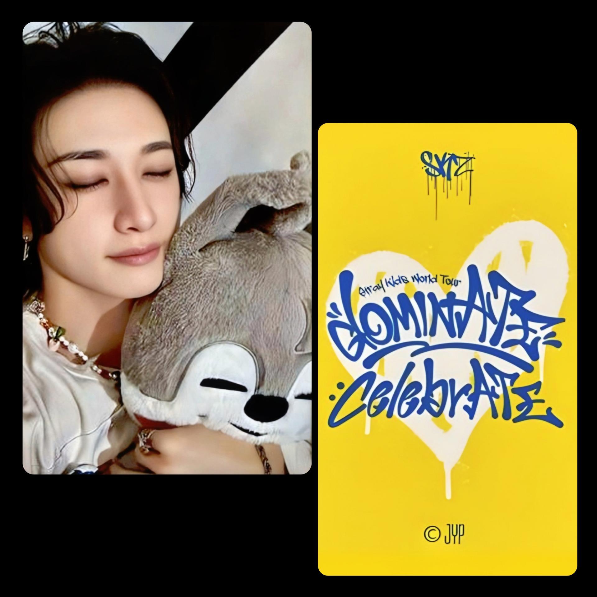 Stray Kids : Dominate Celebrate Pop Up Photocards