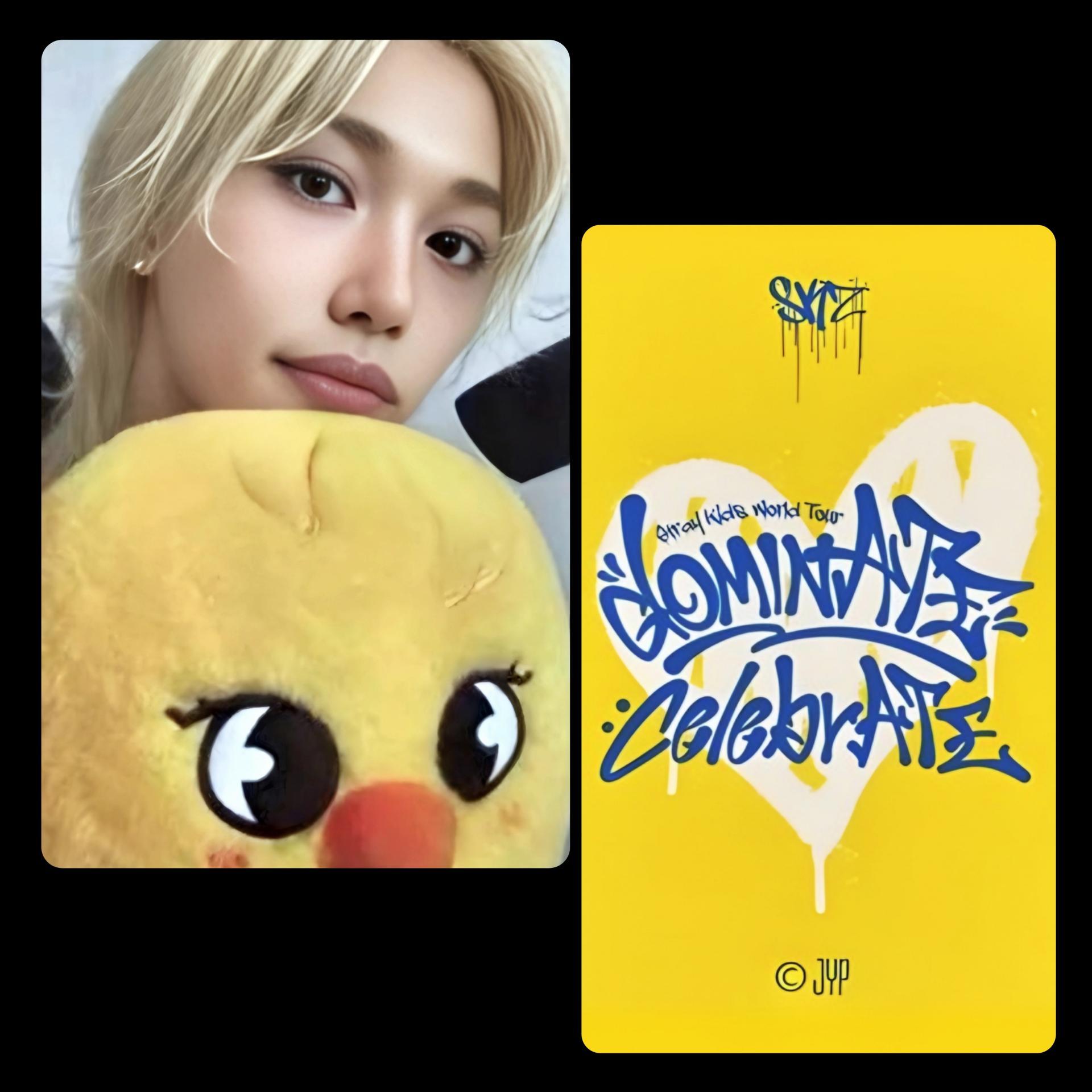 Stray Kids : Dominate Celebrate Pop Up Photocards